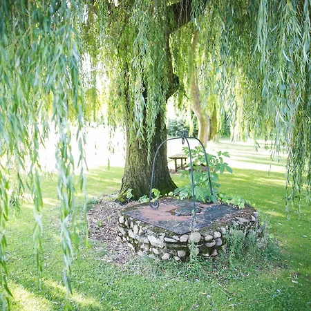 Boutique El Convento De Mave