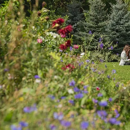 Boutique El Convento De Mave Santa María de Mave