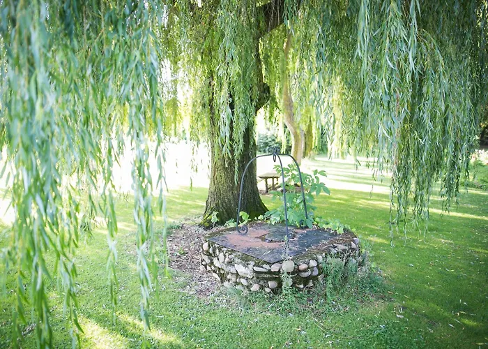 Boutique El Convento De Mave